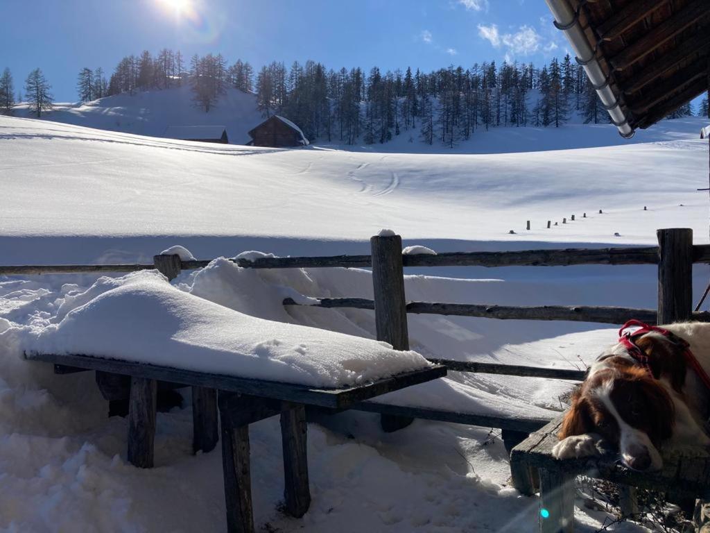 Appartementhaus Reiter Altenmarkt im Pongau Luaran gambar